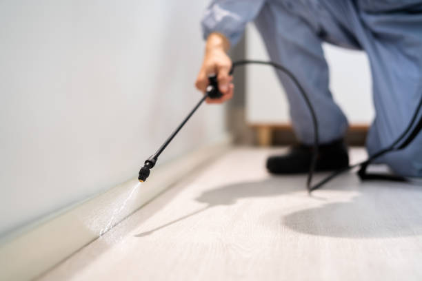Licensed Pest Control service in Rock Springs, NM - Show Me Pest Control